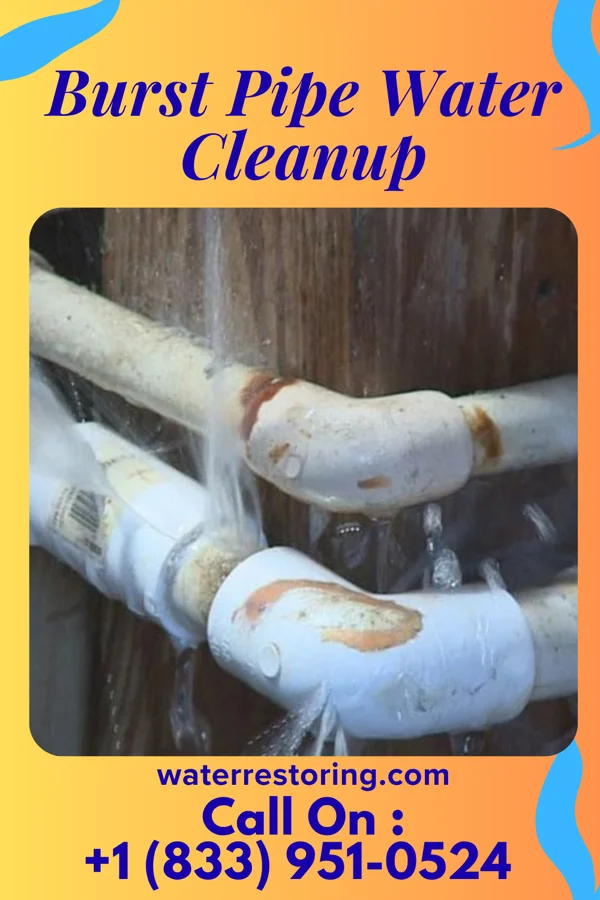 Burst Pipe Water Cleanup in St. Cloud, WI
