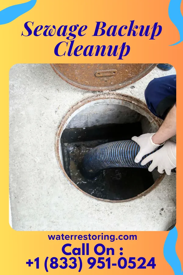 Sewage Backup Cleanup in St. Cloud, WI