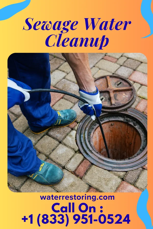 Sewage Water Cleanup in St. Cloud, WI